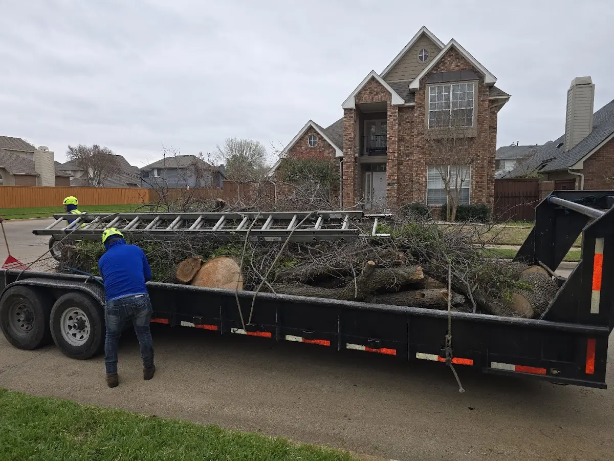 Expert Tree Removal with proper safety equipment in Liverpool